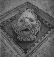 Lion, Duomo di Siena